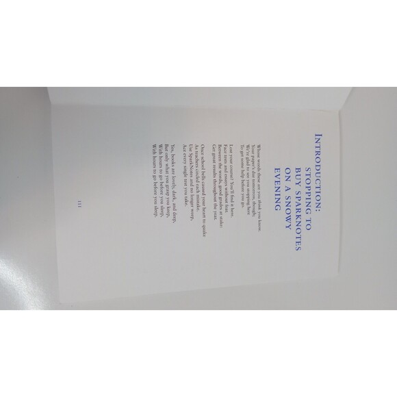 The Outsiders [SparkNotes Literature Guide] [SparkNotes Literature Guide Series] - Picture 6 of 6